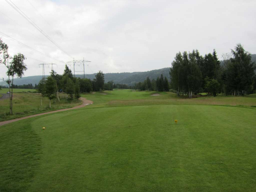 Tee